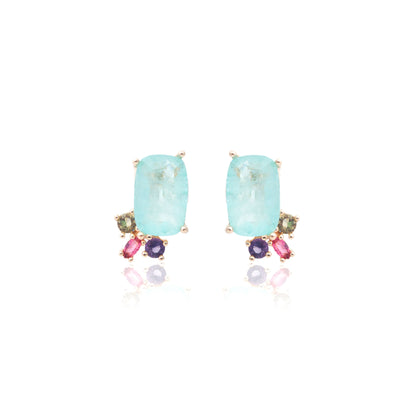 Tourmaline Fusion Stone and Citrine/Amethyst Crystals Earrings