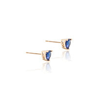 Sapphire Crystal Two Hearts Earrings