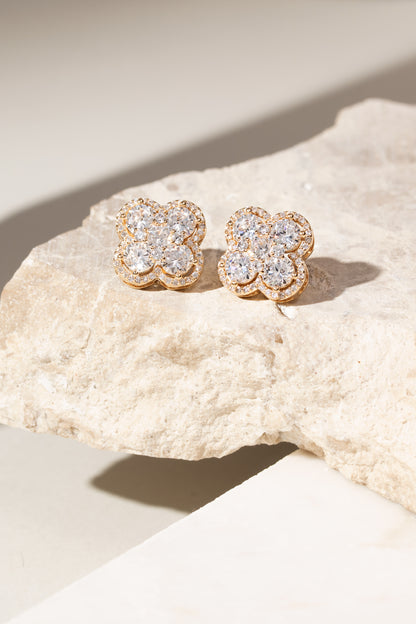 White Zircon Clover Earrings